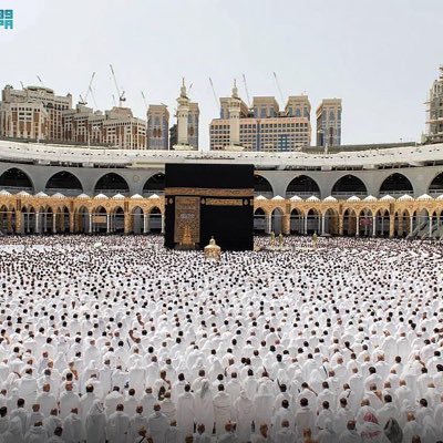 Saudiarmy_8's profile picture