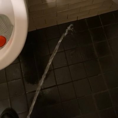schwanzpisse3's profile picture