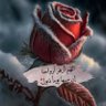 Фото профиля ‏نسًٌيَمـ الورد