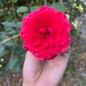 abdo alabri's profile picture