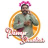 Profilbild von pimp shankar