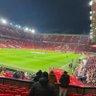 🇾🇪's profile picture