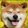 Shitler的书单's profile picture