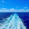 BlueWater 🤿 in Red Tide🤮🇺🇸 profil fotoğrafı