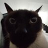 Profilbild von Mathias