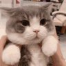 Linus's profile picture