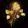 FlowerPower2024's profile picture