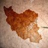 Фото профиля شهروند ایرانم