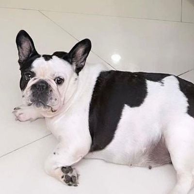 si Pablo's profile picture