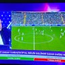 Фото профиля Hasan