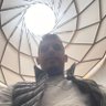 Profilbild von mehdi Rostoume