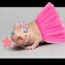 Фото профиля The muskrat