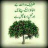Rehana Shahzad janjuah 的头像
