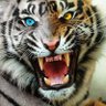 Фото профиля Tigre de guerra