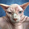 Лютер's profile picture