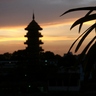 asiapac01's profile picture