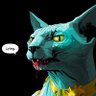Kit-Kat's profile picture