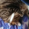 🐯ゆき1108🍊 profil fotoğrafı
