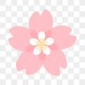 Profilbild von 🌸さくら🌸ちゃん🌸