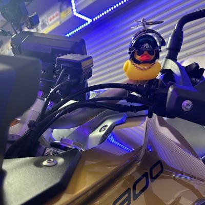 Camtoubiyori's profile picture