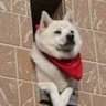 Profilbild von 横浜物販