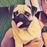 Profilbild von jhondoe
