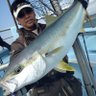 Profilbild von 🐶🎣Nobu再び🎣🦮