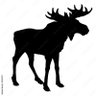 NotAnAMoose's profile picture