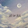 أم صلاح الدين 的头像
