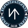 🇹🇷SALUR🇹🇷's profile picture