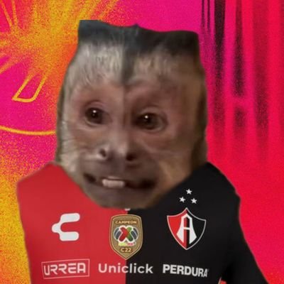 Erick 🔴⚫ Valvalvalfc fan account's profile picture