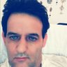 natan's profile picture