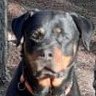 Profilbild von Valusso Christine