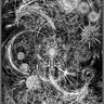 Фото профиля Acidjoe