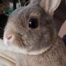 Profilbild von 哲也