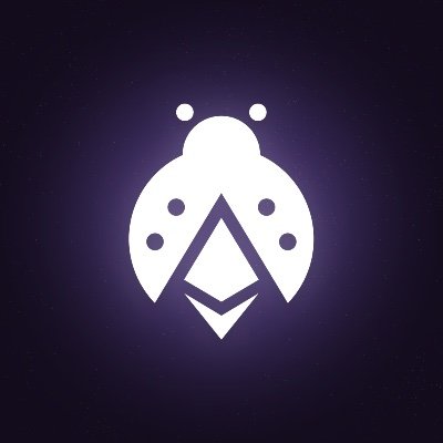etherspot's profile picture