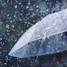 Profilbild von La lluvia- Tere