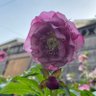 和's profile picture
