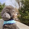 hanson lee's profile picture