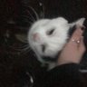 tina❤ profil fotoğrafı
