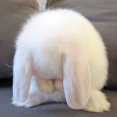 nainao_'s profile picture