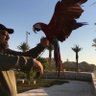 ابو حسين profil fotoğrafı