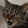 Profilbild von StickyWinner620