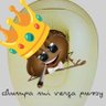 👑 KING 💩 SHITPOSTER 😜's profile picture