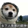Profilbild von 打不死的小强
