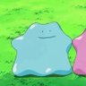 r_yurui's profile picture