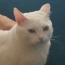 Bdebarbs's profile picture