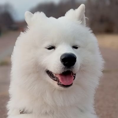 さちきさんと一緒に's profile picture