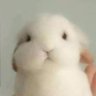 Profilbild von a l e x a