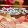 شابع حياة's profile picture